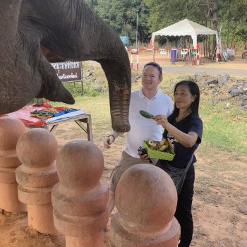 Feeding Elephants in Surin