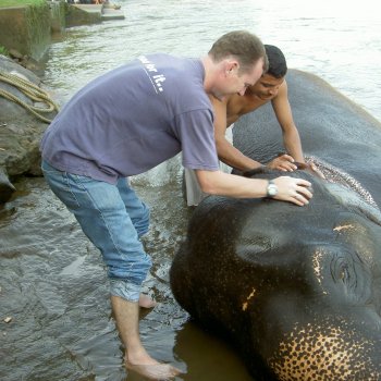 Washing Elephants in Kerala